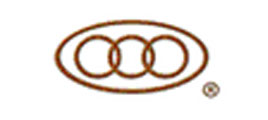 Audi Kilit Yetkili Servisi